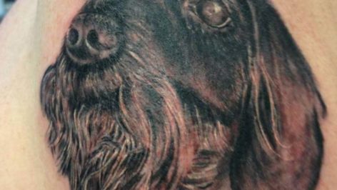 Mendoza Ink - Dog